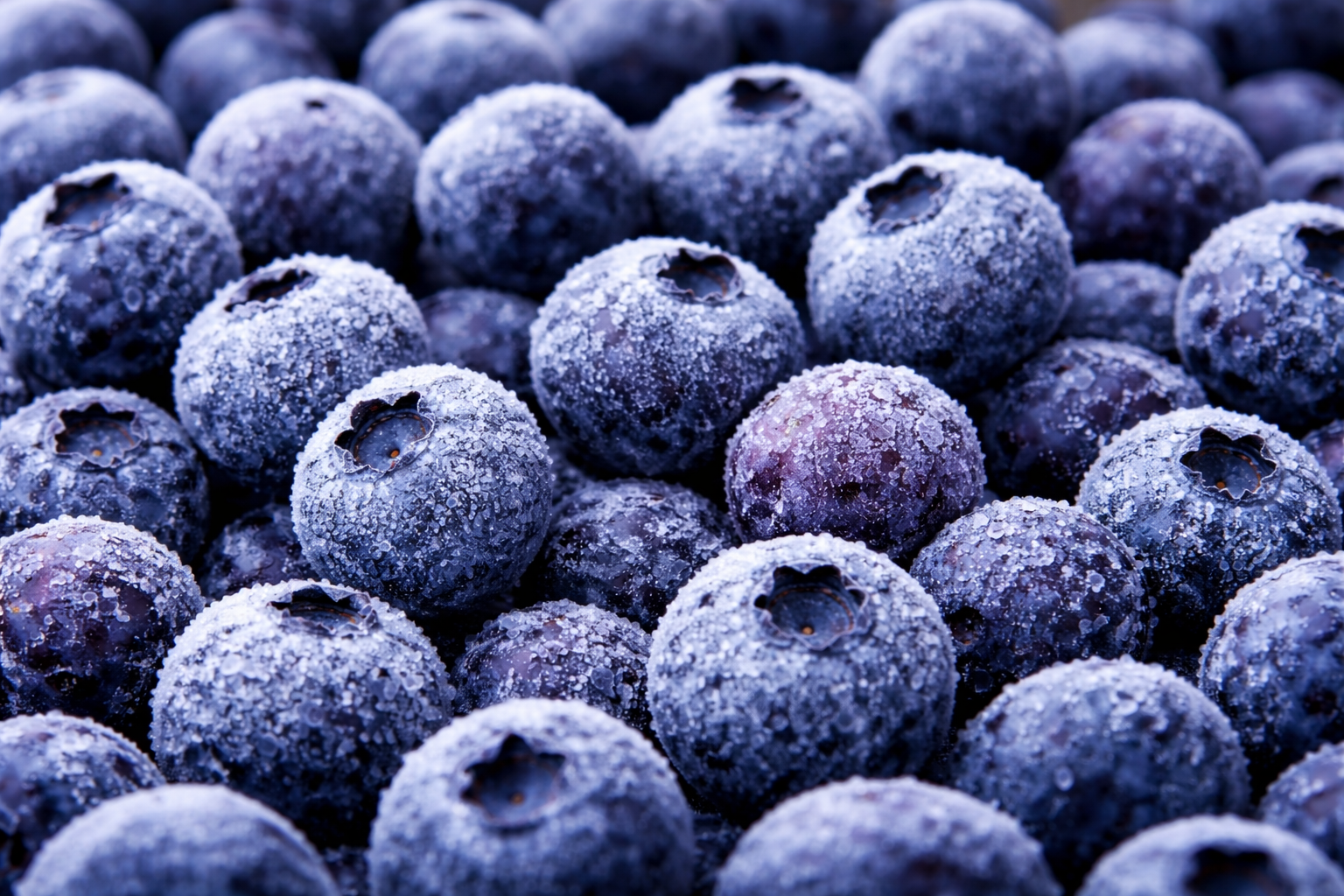 Bateriové úložiště z borůvek? To není sci-fi, ale maximálně využitý potenciál provozu české mrazírny BIO surovin - náhledový obrázek