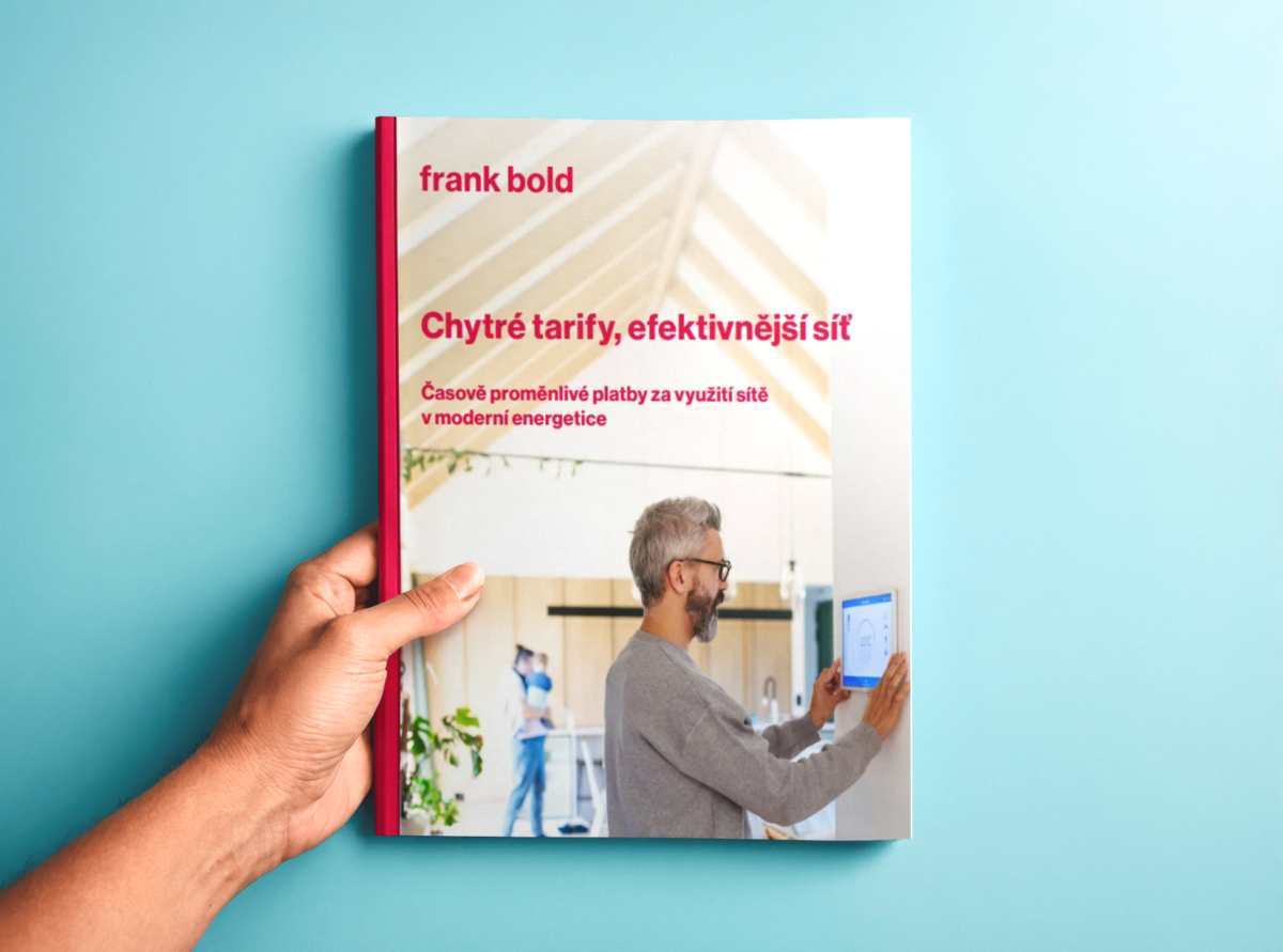 Přesouvat spotřebu a šetřit miliardy: Frank Bold vydal studii o chytrých síťových tarifech - náhledový obrázek